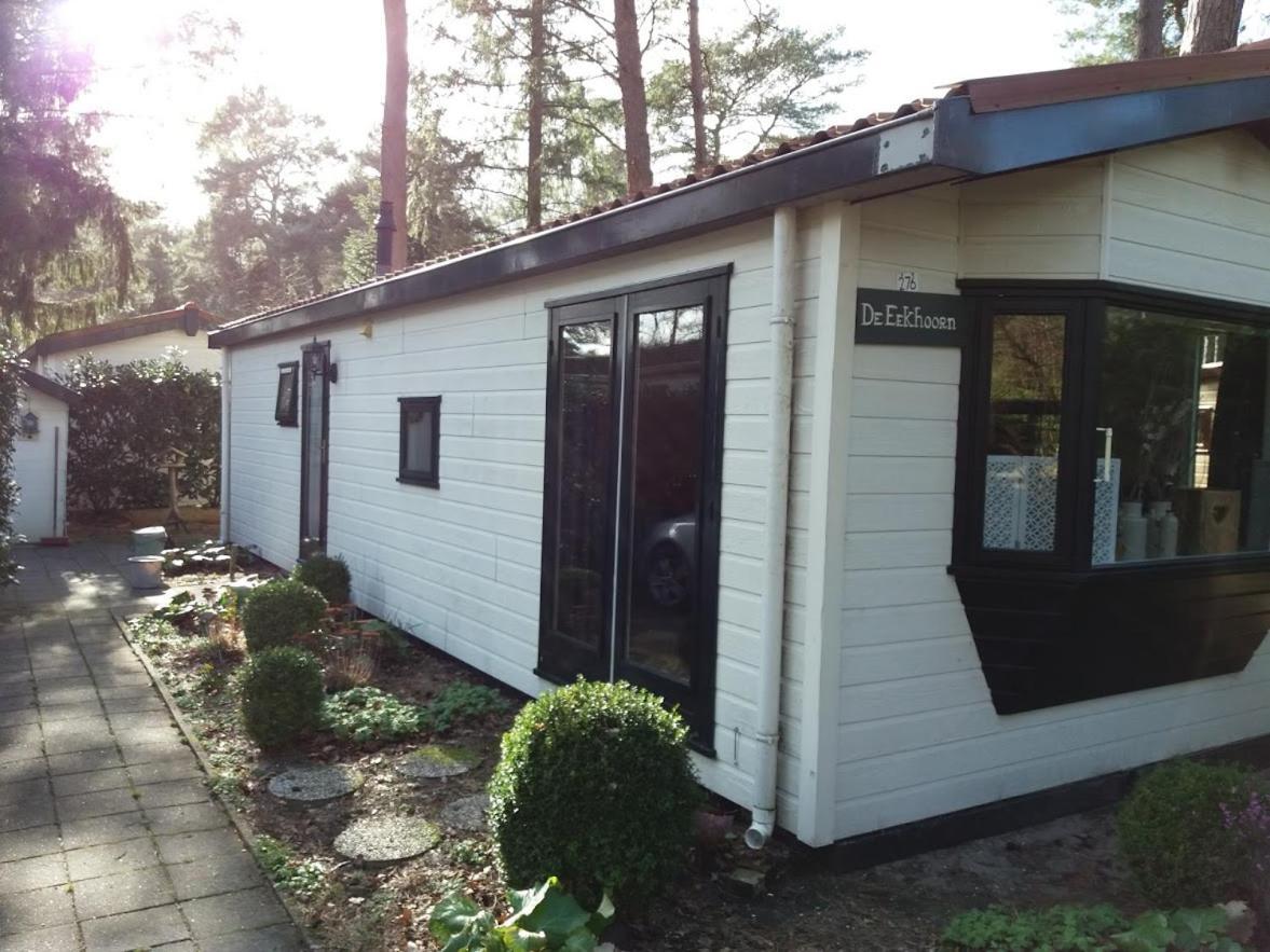 Chalet De Eekhoorn Diever Buitenkant foto