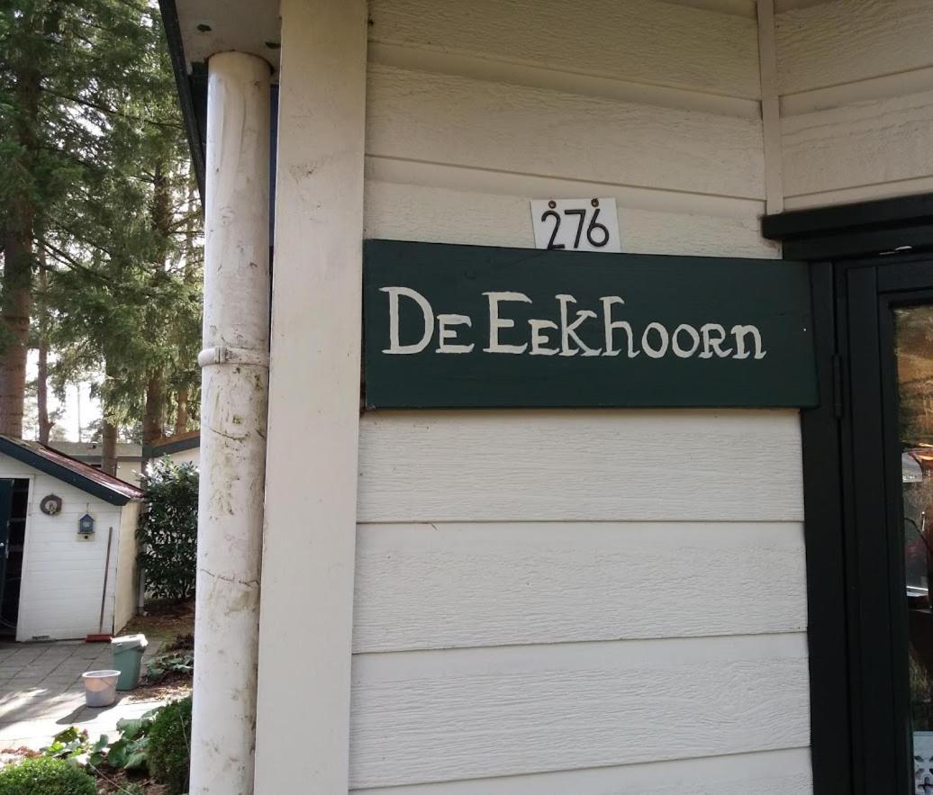Chalet De Eekhoorn Diever Buitenkant foto